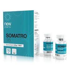 NEW PHARMA SOMATROPIN 5.3 G 16 UI 2 ML